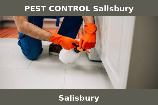 PEST CONTROL Salisbury